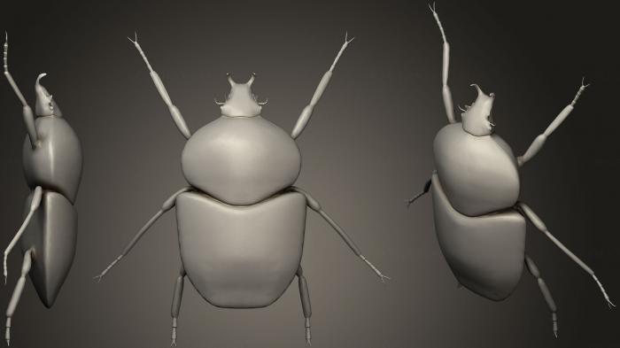 نموذج ثلاثي الأبعاد لآلة CNC الحشرات جالوت بيتل